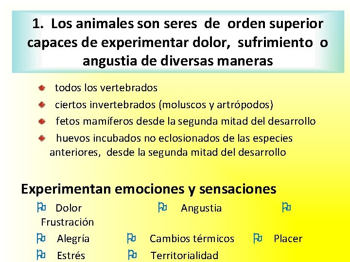 1. Los animales son seres de orden superior capaces de experimentar dolor, sufrimiento o