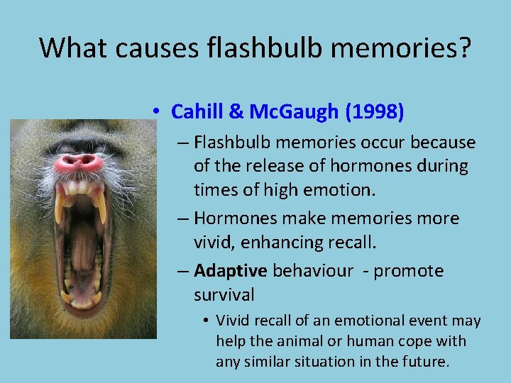 What causes flashbulb memories? • Cahill & Mc. Gaugh (1998) – Flashbulb memories occur