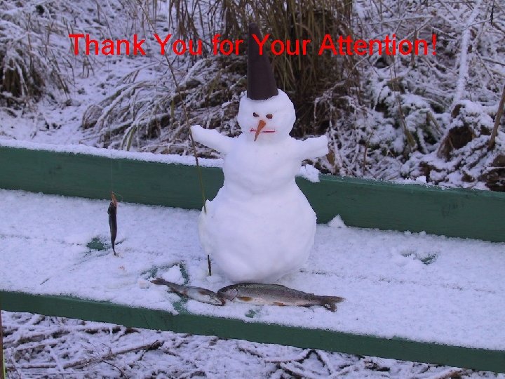 Thank You for Your Attention! 