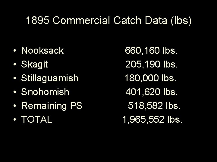 1895 Commercial Catch Data (lbs) • • • Nooksack Skagit Stillaguamish Snohomish Remaining PS