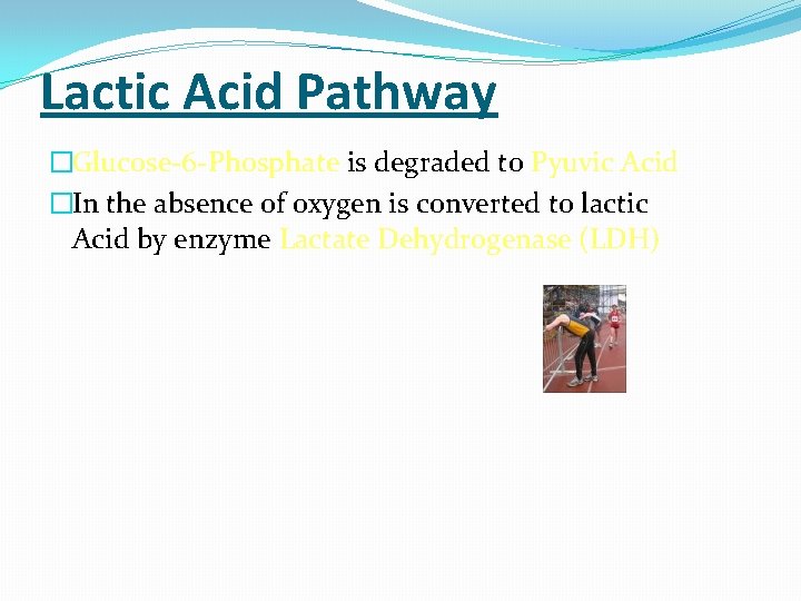 Lactic Acid Pathway �Glucose-6 -Phosphate is degraded to Pyuvic Acid �In the absence of