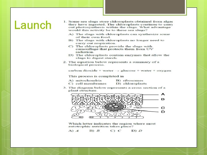 Photosynthesis Living Environment Think about it Carnivorous plants