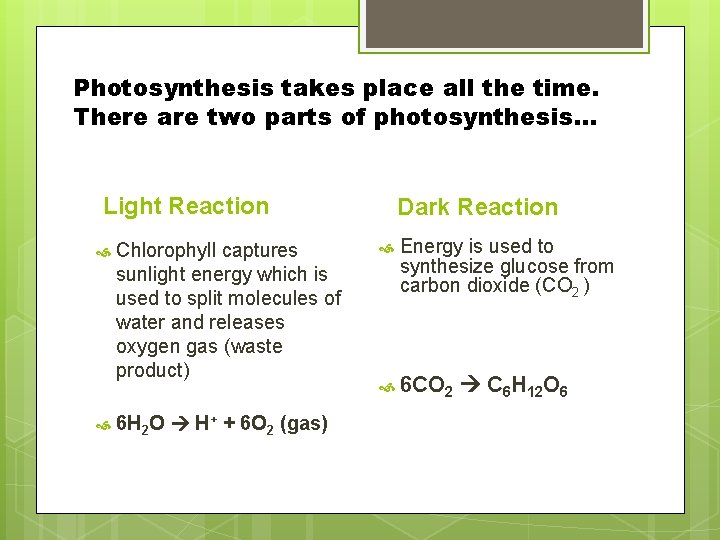 Photosynthesis takes place all the time. There are two parts of photosynthesis… Light Reaction