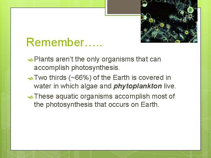 Remember…. . Plants aren’t the only organisms that can accomplish photosynthesis. Two thirds (~66%)