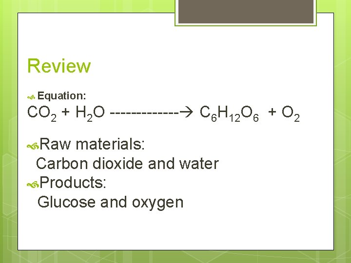 Review Equation: CO 2 + H 2 O ------- C 6 H 12 O