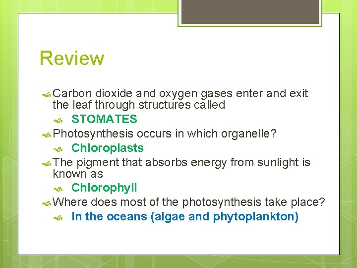 Review Carbon dioxide and oxygen gases enter and exit the leaf through structures called