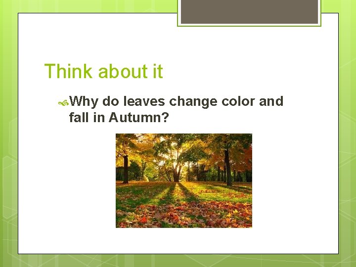 Think about it Why do leaves change color and fall in Autumn? 