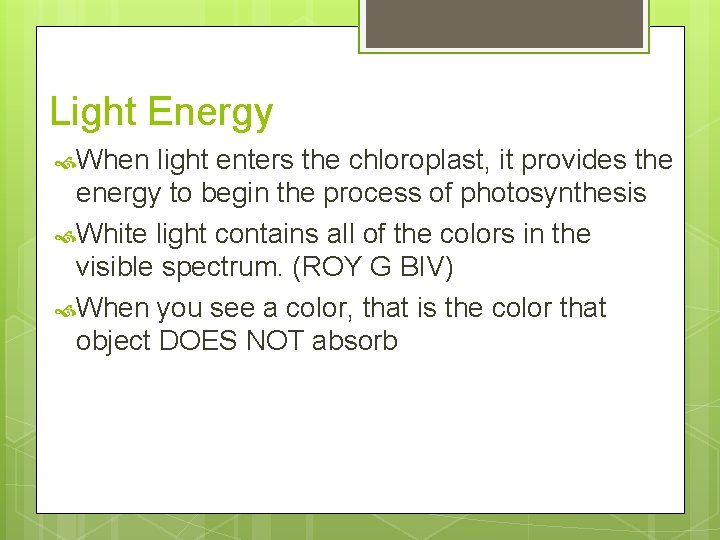 Light Energy When light enters the chloroplast, it provides the energy to begin the