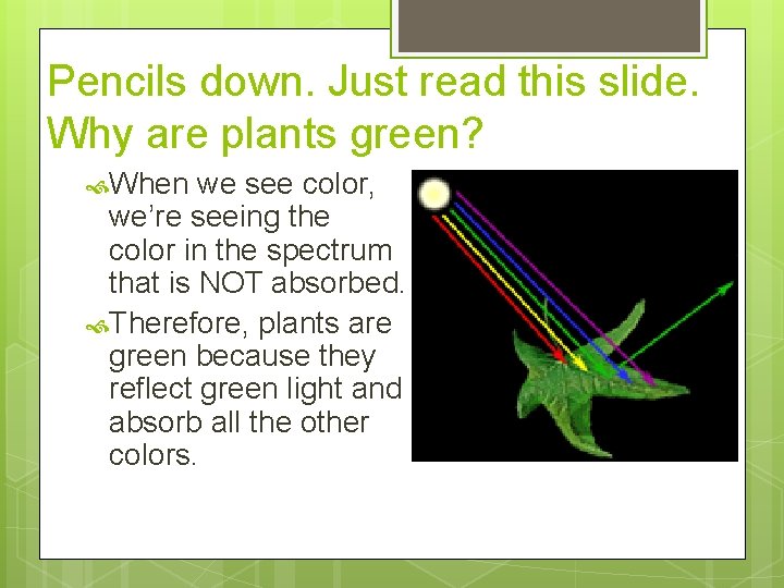 Pencils down. Just read this slide. Why are plants green? When we see color,