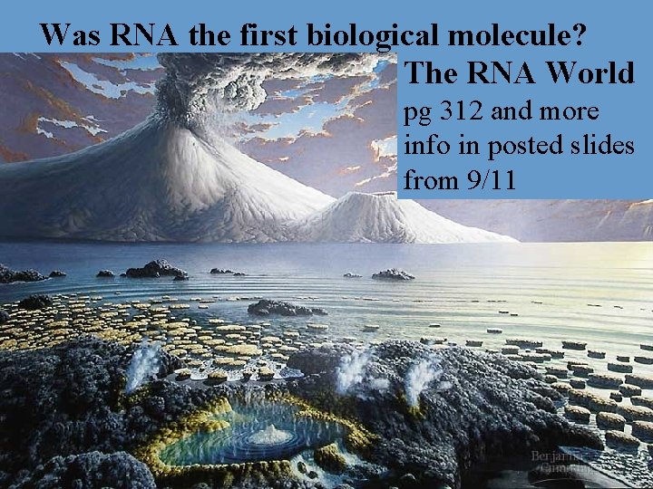 Was RNA the first biological molecule? The RNA World pg 312 and more info