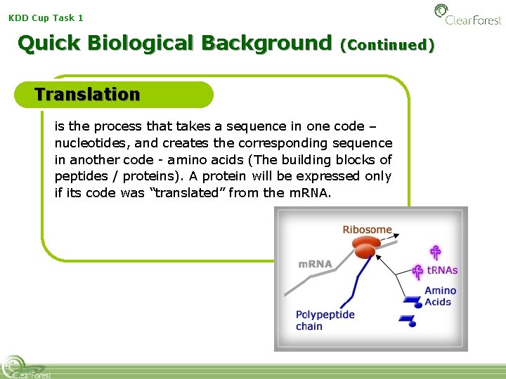 KDD Cup Task 1 Quick Biological Background (Continued) Translation is the process that takes