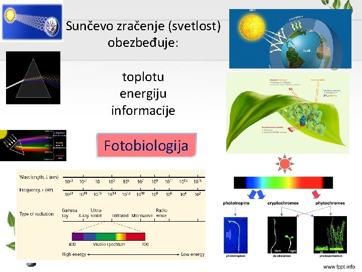 Sunčevo zračenje (svetlost) obezbeđuje: toplotu energiju informacije Fotobiologija 