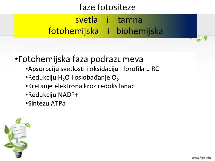 faze fotositeze svetla i tamna fotohemijska i biohemijska • Fotohemijska faza podrazumeva • Apsorpciju