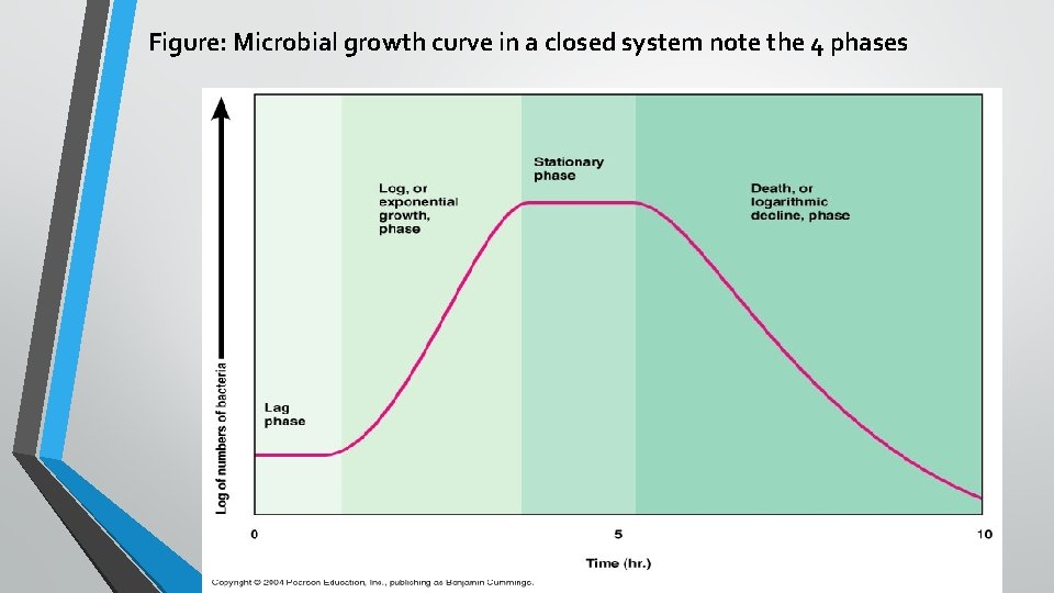 Figure: Microbial growth curve in a closed system note the 4 phases Figure: Microbial growth curve in a closed system note the 4 phases