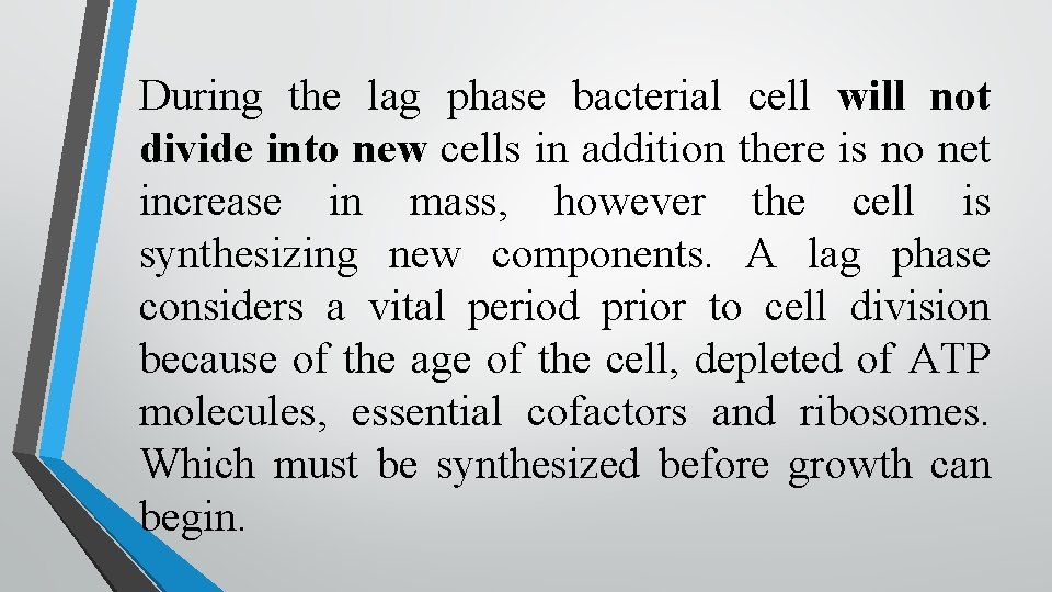 During the lag phase bacterial cell will not divide into new cells in addition During the lag phase bacterial cell will not divide into new cells in addition