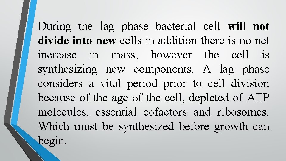 During the lag phase bacterial cell will not divide into new cells in addition