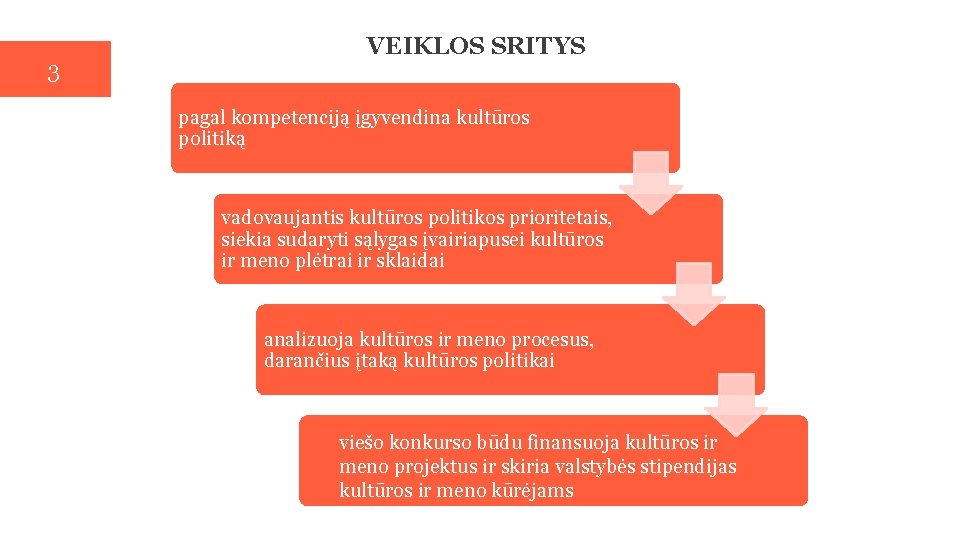 3 VEIKLOS SRITYS pagal kompetenciją įgyvendina kultūros politiką vadovaujantis kultūros politikos prioritetais, siekia sudaryti