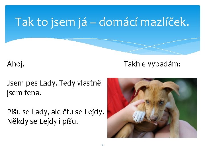 Tak to jsem já – domácí mazlíček. Ahoj. Takhle vypadám: Jsem pes Lady. Tedy