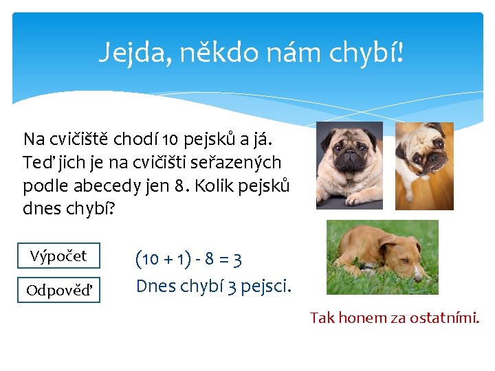 Jejda, někdo nám chybí! Na cvičiště chodí 10 pejsků a já. Teď jich je