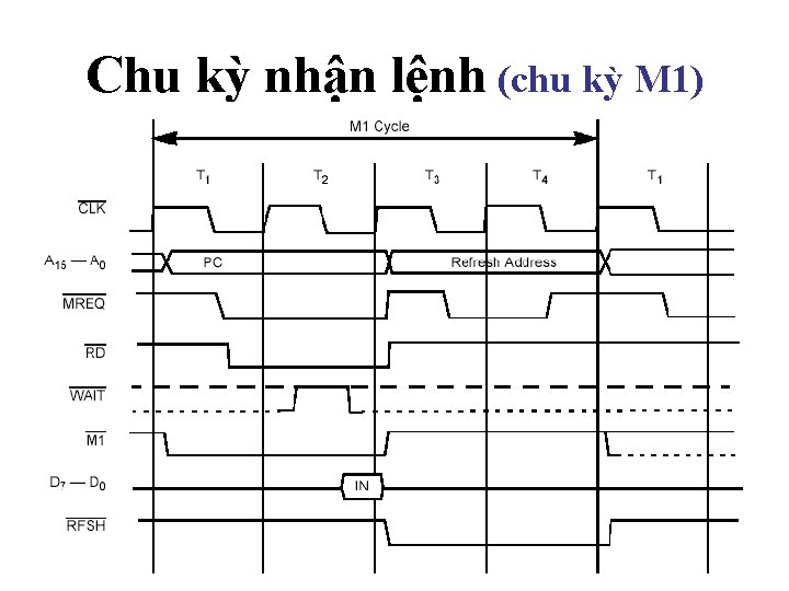 Chu kỳ nhận lệnh (chu kỳ M 1) 