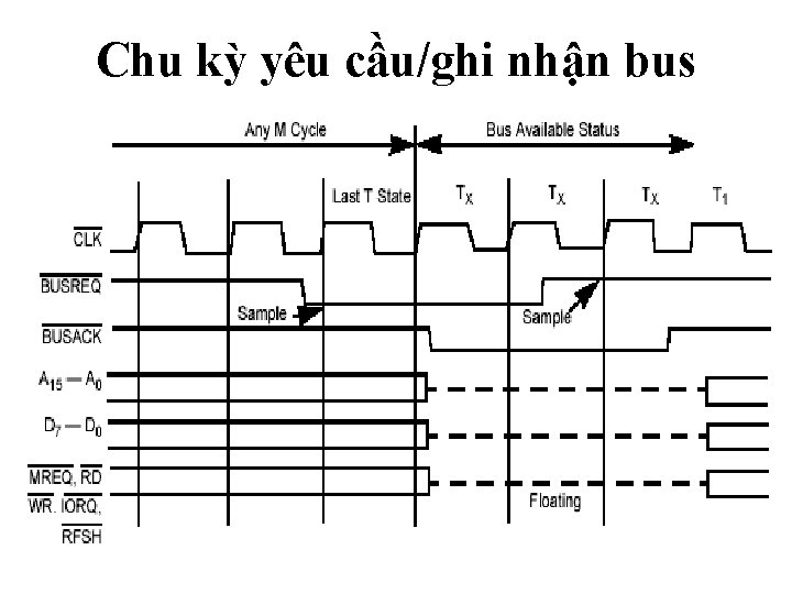 Chu kỳ yêu cầu/ghi nhận bus 