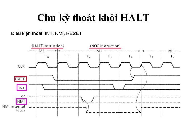 Chu kỳ thoát khỏi HALT Điê u kiê n thoa t: INT, NMI, RESET