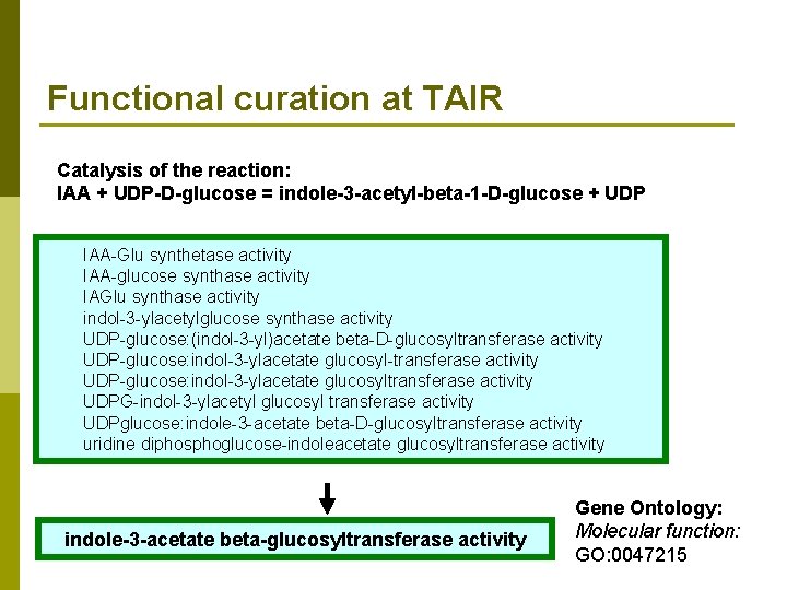 Functional curation at TAIR Catalysis of the reaction: IAA + UDP-D-glucose = indole-3 -acetyl-beta-1
