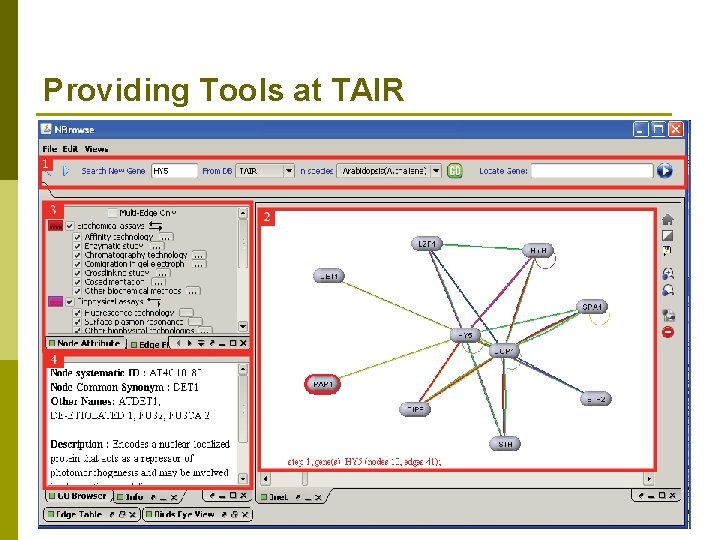 Providing Tools at TAIR 
