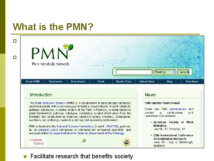 What is the PMN? p “A Network of Plant Metabolic Pathway Databases and Communities”