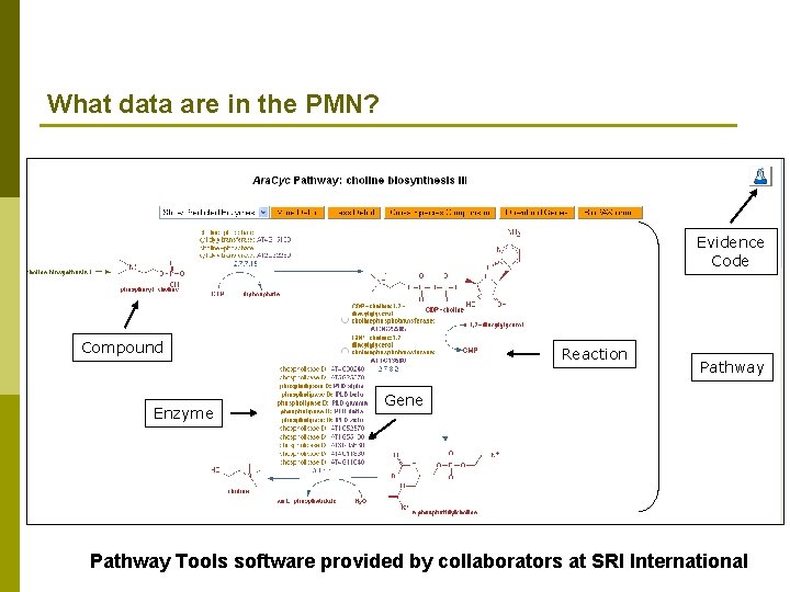 What data are in the PMN? Evidence Code Compound Enzyme Reaction Pathway Gene Pathway