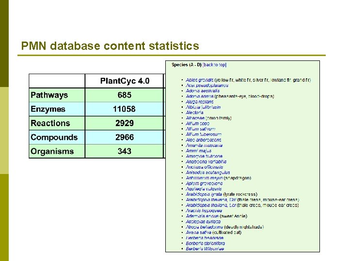PMN database content statistics 
