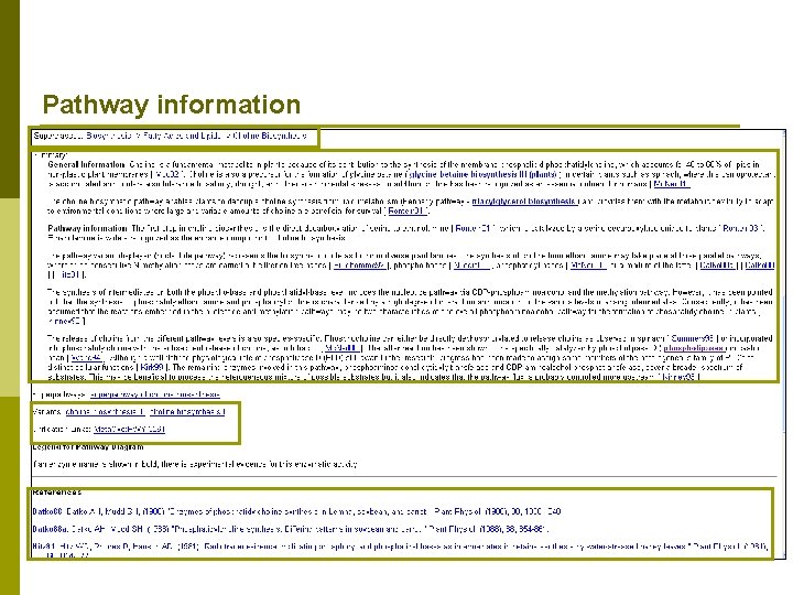 Pathway information 