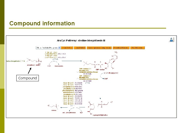 Compound information Compound 