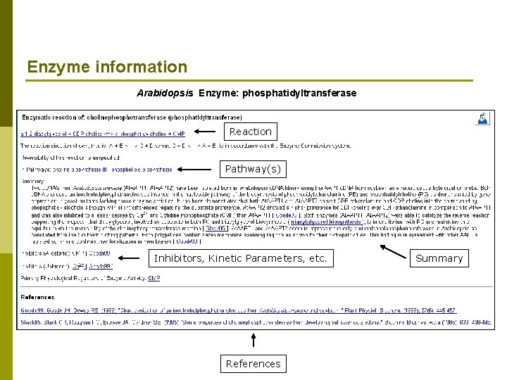 Enzyme information Arabidopsis Enzyme: phosphatidyltransferase Reaction Pathway(s) Inhibitors, Kinetic Parameters, etc. References Summary 