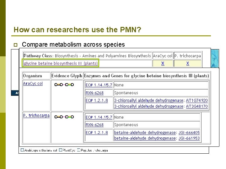 How can researchers use the PMN? p Compare metabolism across species 