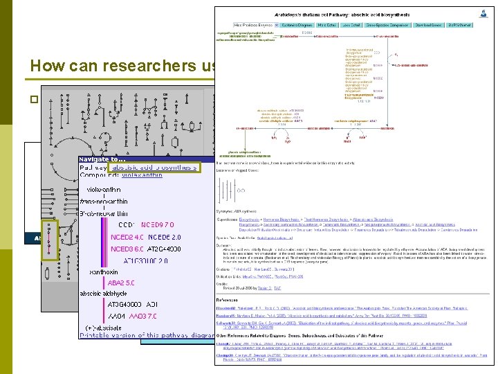 How can researchers use the PMN? p Examine OMICs data in a metabolic context
