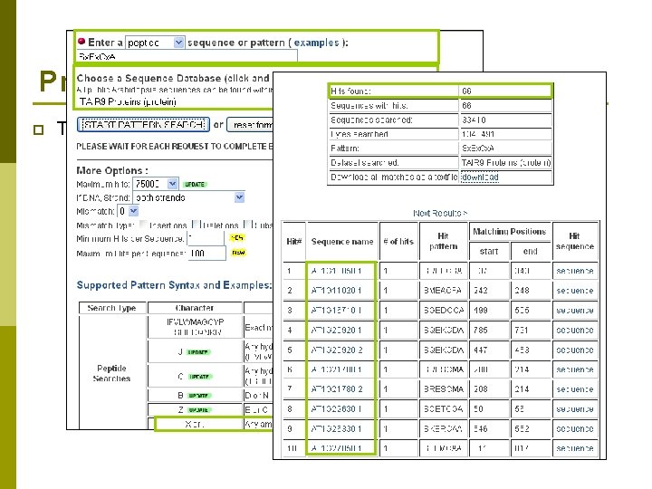 Providing Tools at TAIR p Tech team members and curators n Develop new tools