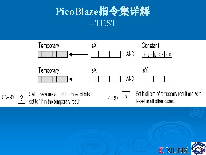 Pico. Blaze指令集详解 --TEST 