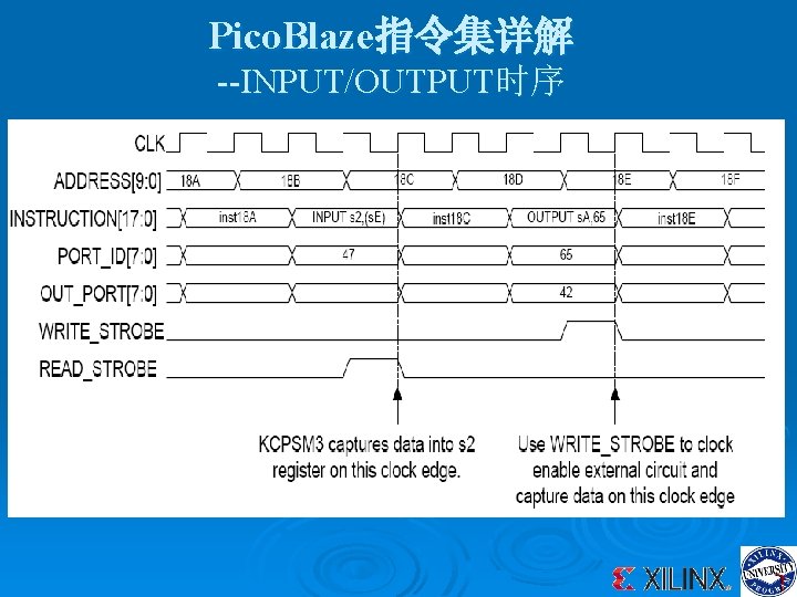 Pico. Blaze指令集详解 --INPUT/OUTPUT时序 