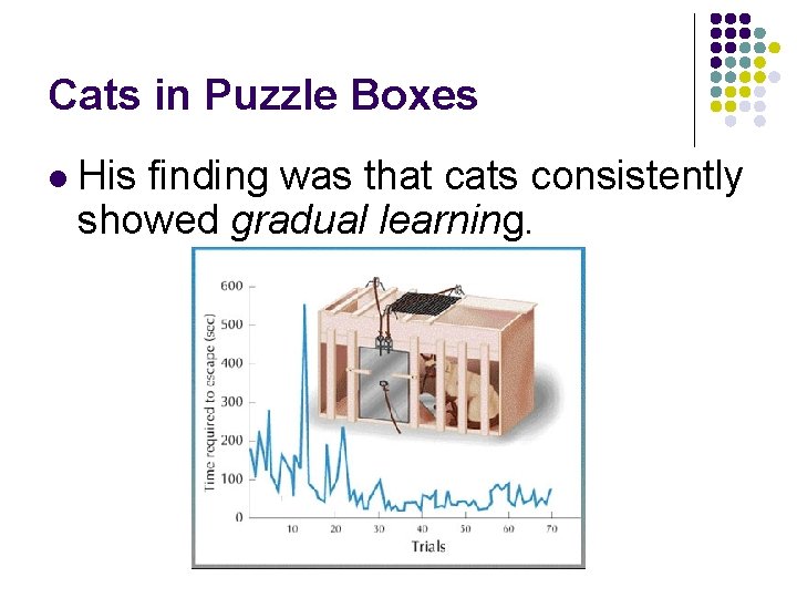 Cats in Puzzle Boxes l His finding was that cats consistently showed gradual learning.