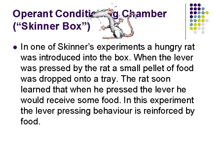 Operant Conditioning Chamber (“Skinner Box”) l In one of Skinner’s experiments a hungry rat