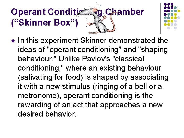 Operant Conditioning Chamber (“Skinner Box”) l In this experiment Skinner demonstrated the ideas of