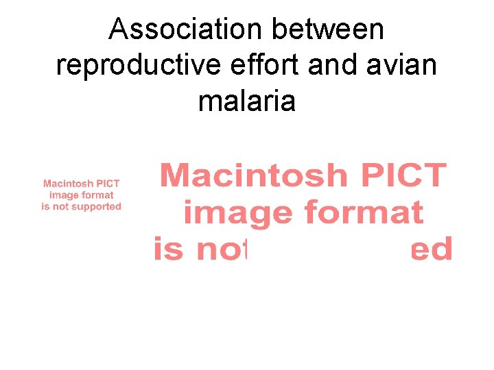 Association between reproductive effort and avian malaria Association between reproductive effort and avian malaria