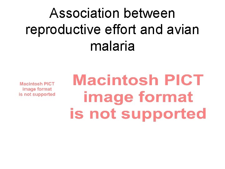 Association between reproductive effort and avian malaria Association between reproductive effort and avian malaria