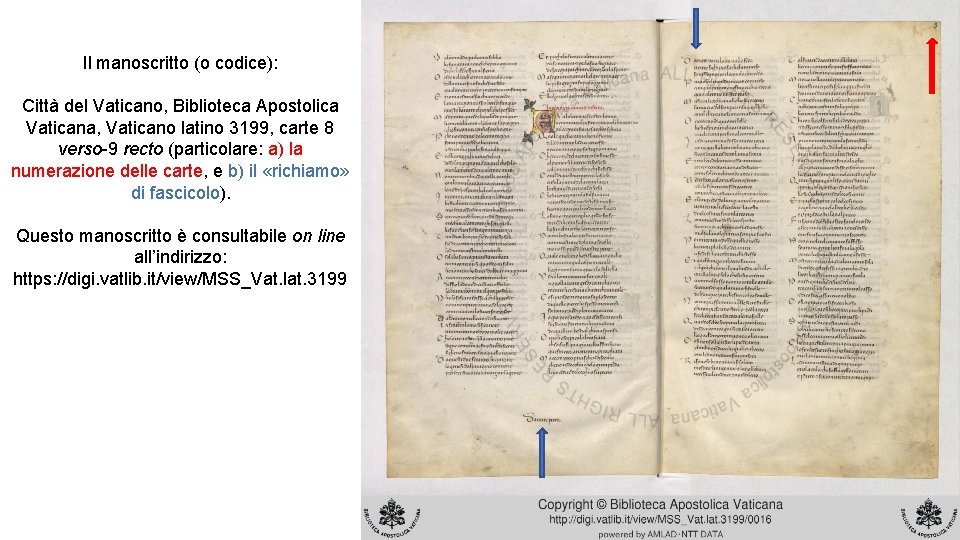 Il manoscritto (o codice): Città del Vaticano, Biblioteca Apostolica Vaticana, Vaticano latino 3199, carte