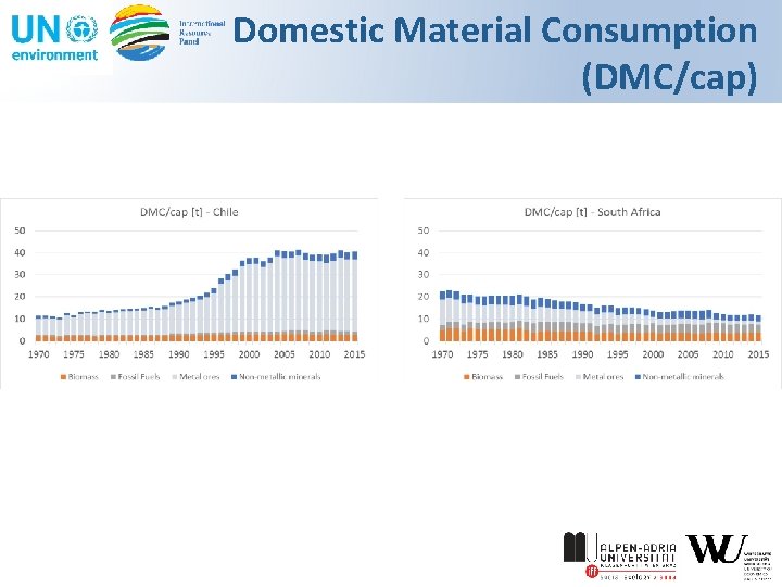 Domestic Material Consumption (DMC/cap) 