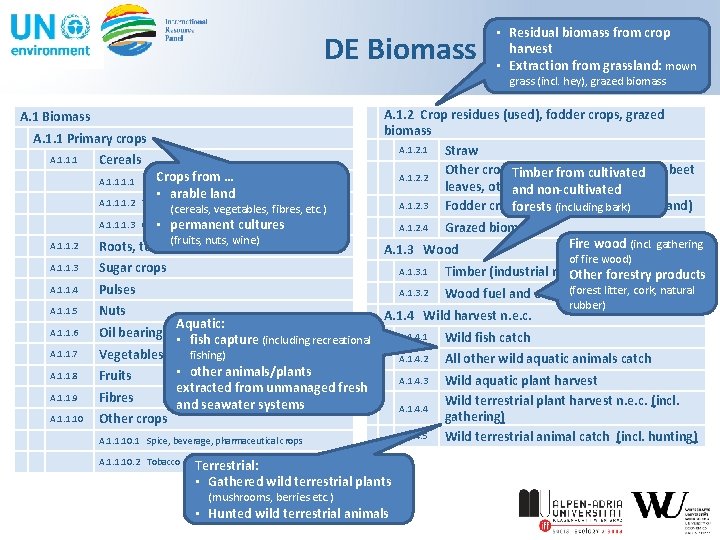  • Residual biomass from crop harvest • Extraction from grassland: mown DE Biomass