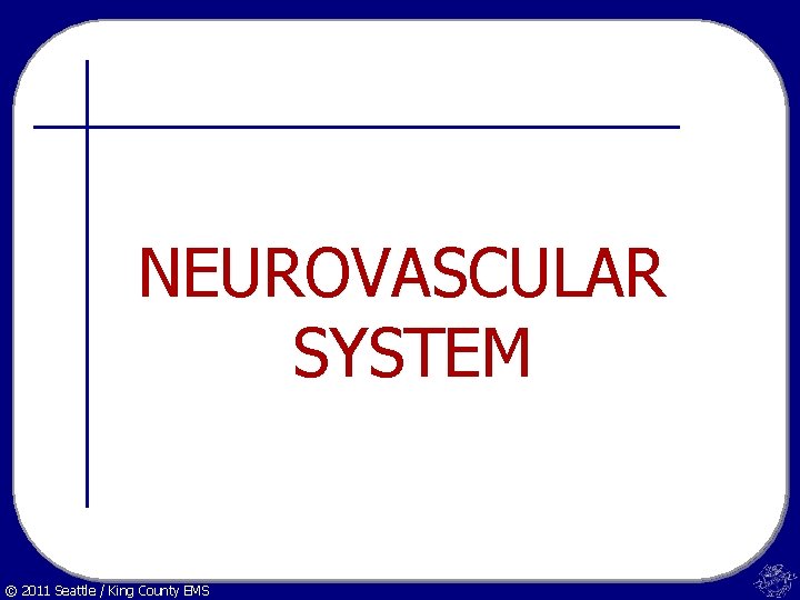 NEUROVASCULAR SYSTEM © 2011 Seattle / King County EMS 