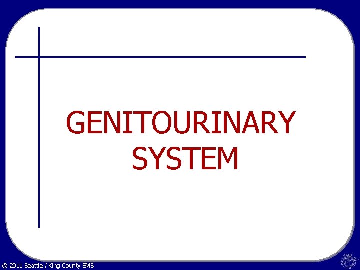 GENITOURINARY SYSTEM © 2011 Seattle / King County EMS 