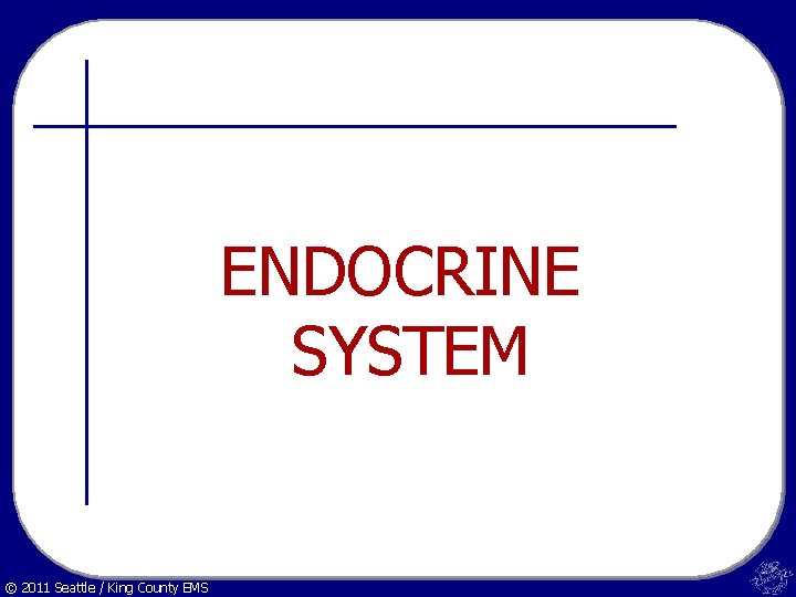 ENDOCRINE SYSTEM © 2011 Seattle / King County EMS 